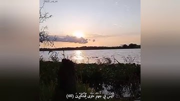 تلاوة هادئة للشيخ:عادل الكلباني