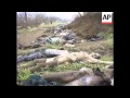 Chechnya - Mass Grave In Grozny