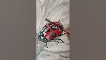 🐞🐞🐞LADYBUG | How to Paint a Ladybug | gene joy Art #shorts