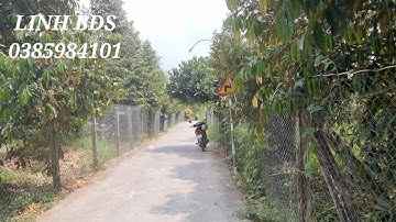 T122❤️Bán vườn sầu riêng đường ôtô 43x25 giá 1,2 tỷ ở xã long tiên cai lậy tiền giang