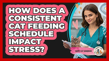 How Does A Consistent Cat Feeding Schedule Impact Stress? - Happy Cat Handbook