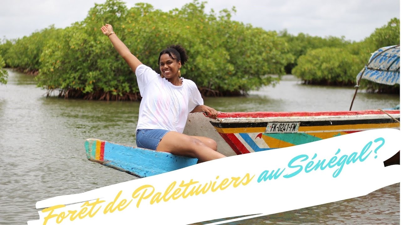 L' Amazonie du Sénégal: les îles du Sine Saloum (visite guidée) Sénégal 2020 #11