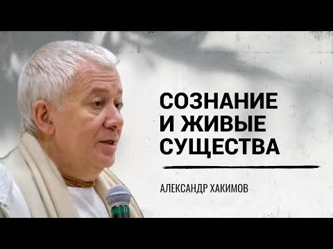 Видео: Сознание. Человеческое сознание.Сознание и живые существа.  Александр Хакимов