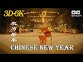 中国传统农历新年Chinese New Year Show VR180