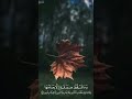 سورة الملك راحه نفسيه وسكينه سورة الملك راحه نفسيه وسكينه
