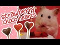 💘 Strawberry Choco Hearts | HAMSTER KITCHEN 💘