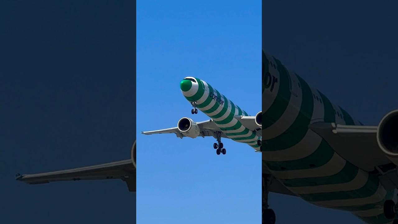 Condor Airbus A330-900 from Frankfurtto Los Angeles, 6/19/2024 5:06pm 