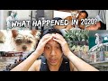 Recapping The Hardships Of 2020 | Vlog #1062