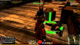 Guild Wars 2 Drunken Pirates