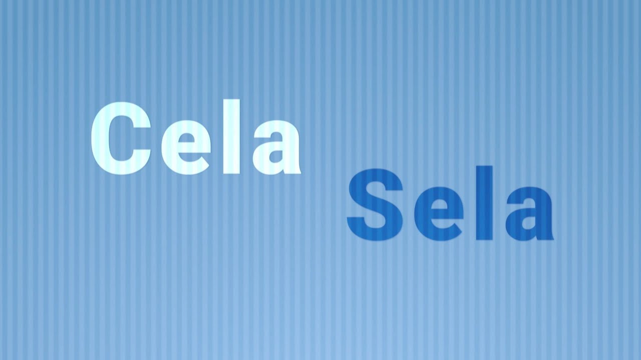 Quando Usar Sela Ou Cela?