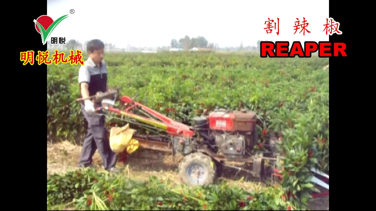 027 chili reaper, chili harvester 4G80 Yancheng Mingyue