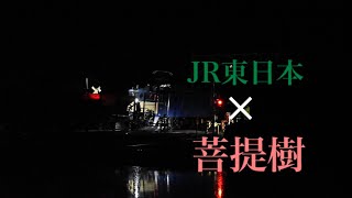【鉄道PV】東日本×菩提樹