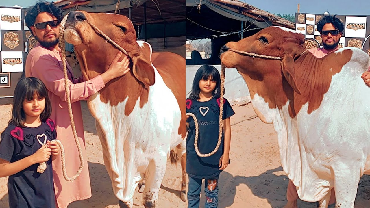 AAJ Ham Sultan Sa Milna Gay 🤗☺️