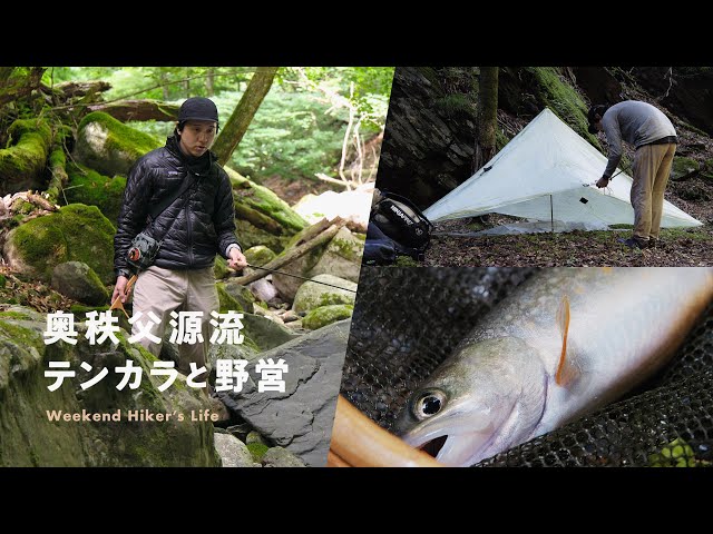 渓流フィールド 秩父 釣り場 テンカラ つり人 ▽▽ 渓流 釣り ガイド