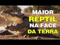 O crocodilo chora quando devora sua vítima?