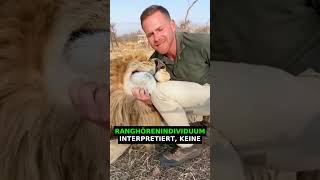 Warum Leoparden die gefährlichsten Großkatzen sind