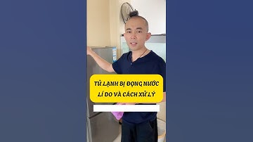 Tủ lạnh bị đọng nước ở ngăn mát – vì sao và xử lý thế nào! #giadinh #meovathuuich #eumix #Eu-Mix