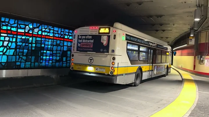 A few buses at Harvard (MBTA Bus Action)