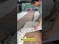 Duck Eggs Harvest | Duck Farming | Village farming|Farming #shorts #duck #farming #food