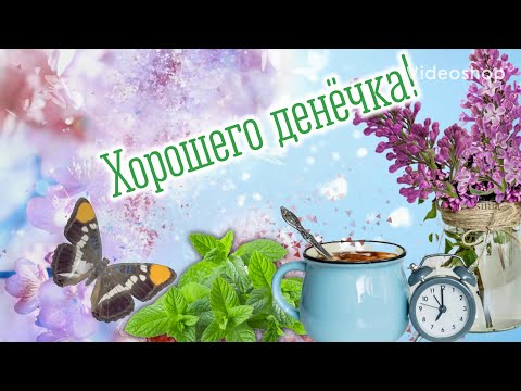 С Добрым Утром ☕️Хорошего Денёчка😉 Музыкальная Открытка С Добрым Утром😊Музыкальный Позитив