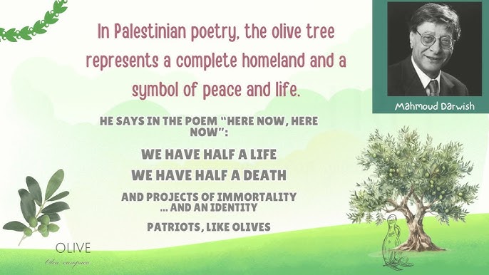 Astrological Prediction Under Olive Trees