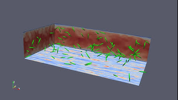 Fibers motion in a turbulent channel flow   DNS