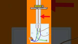 Lighting Circuit - Taking the Feed to the Switch