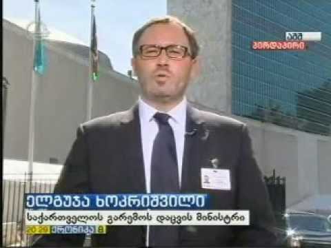 MOE: ელგუჯა ხოკრიშვილი გაერო-ს კლიმატის ცვლილების სამიტზე