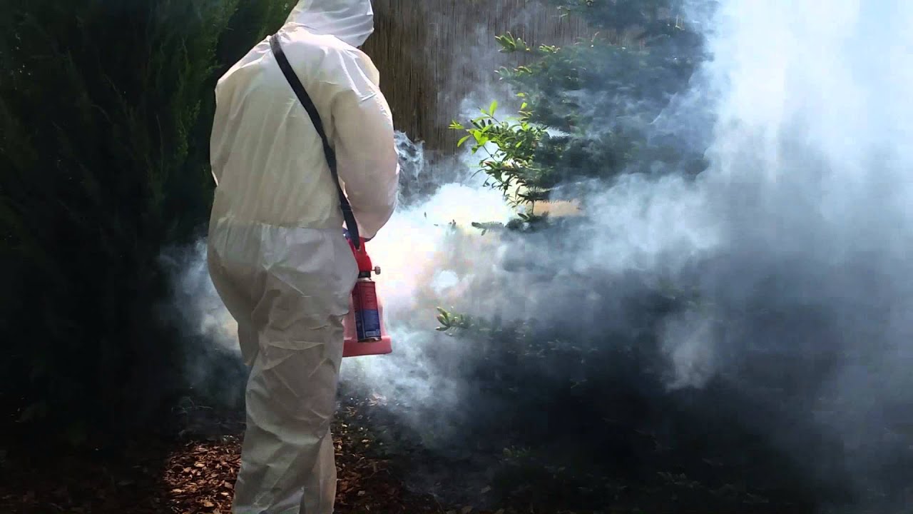 Zamgławiacz termiczny MINI MIST FOGGER KB100 YouTube