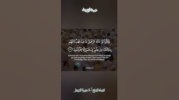 تلاوة قديمة 🕊 سورة الزخرف 🕊 لفضيلة الشيخ أ.د سعود بن إبراهيم الشريم