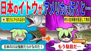 日本のイトウをアメリカに持ち込むとどうなるのか【ずんだもん＆ゆっくり解説】