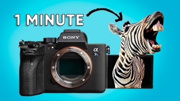 How to Use Zebras for Exposure