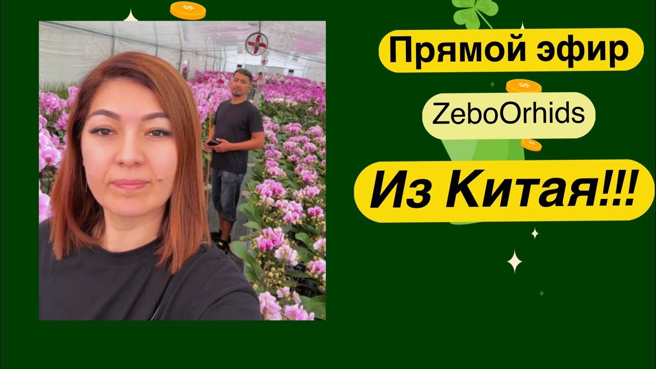 ОРХИДЕИ в китайских теплицах | ZeboOrhids в Китае!