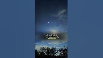 #قرآن #quran #المصحف #اكسبلور #explore #لايك #yasseraldossary #الشيخ_ياسر_الدوسري #سورة النمل
