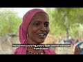 Protecting Chad’s nomadic communities from polio - WHOAFRO in action