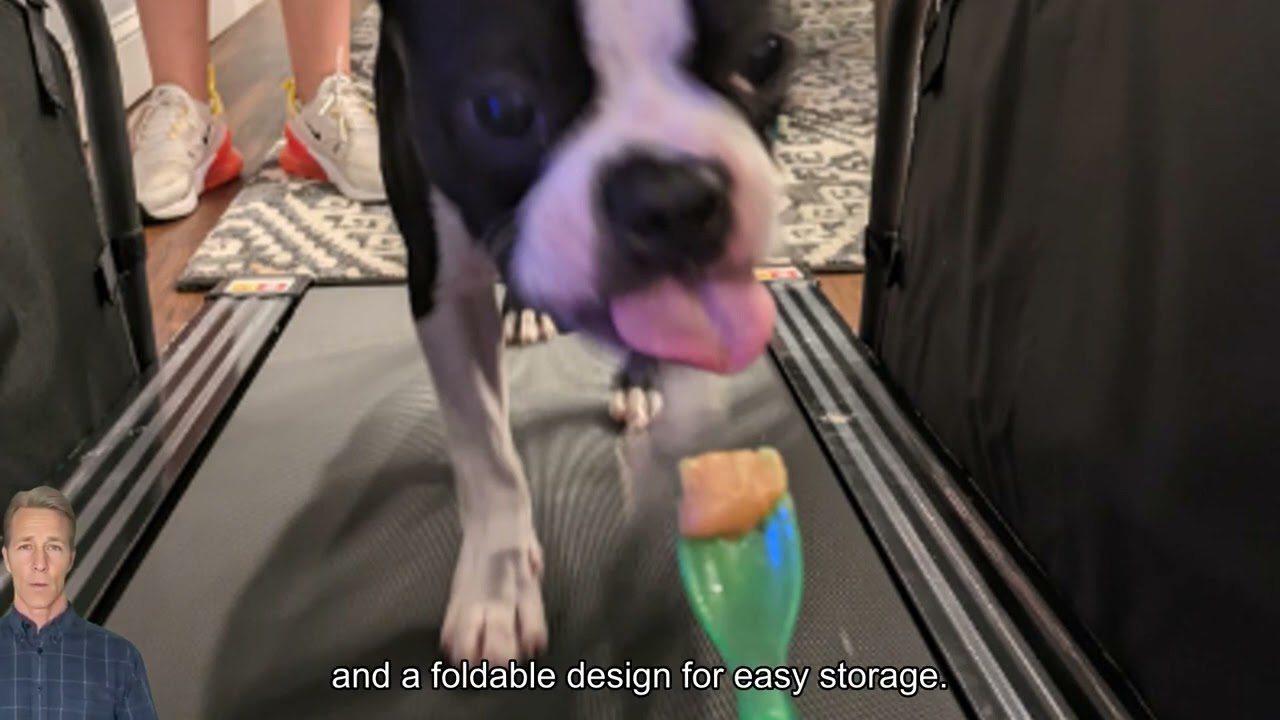 Best Dog Treadmill for Bulldogs: Top 4 Picks