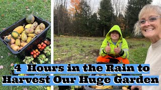 We harvested Our Huge Garden in the Rain for 4 hours !