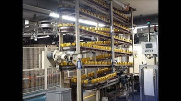 Ewab s curved de elevating belt