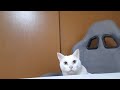 さとるくんの3歳のお誕生日をお祝いしたよ