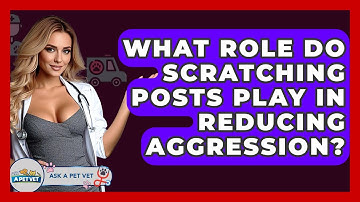 What Role Do Scratching Posts Play In Reducing Aggression? - Ask A Pet Vet