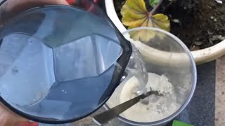 How Yeast And Water Can Transform Your Garden Secrets To Lush Flower Growth
