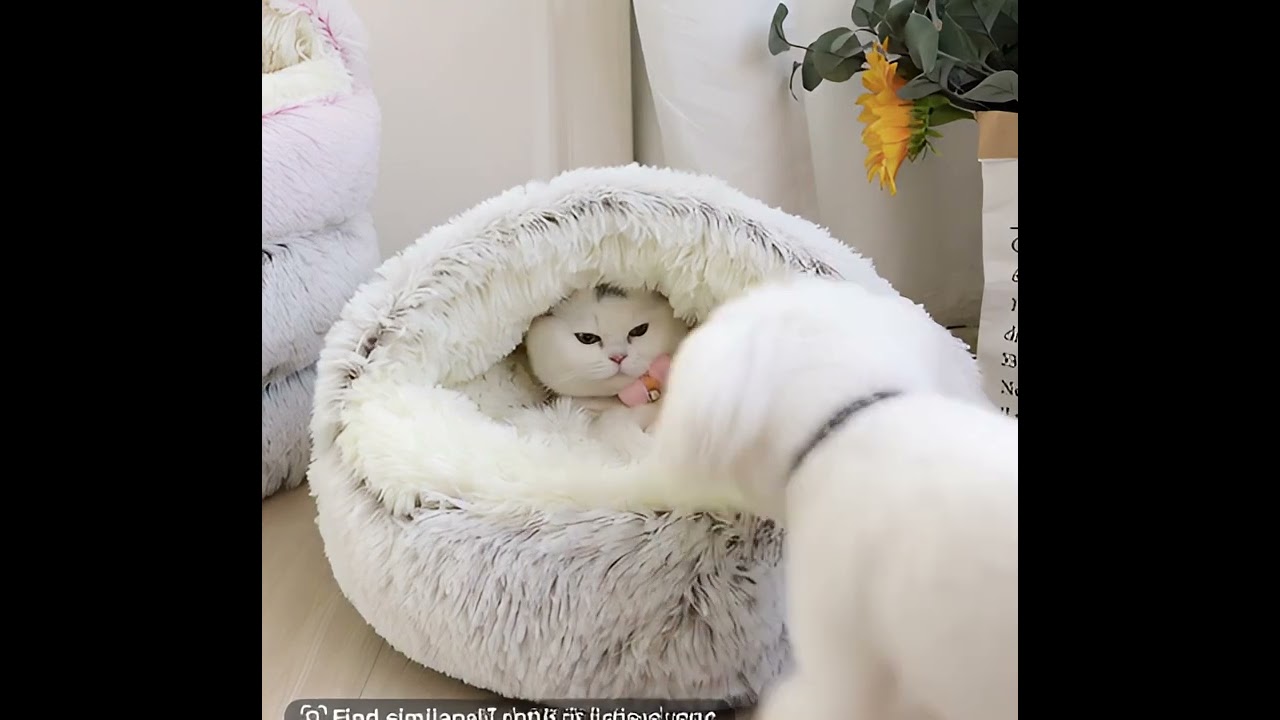 Dog-Cat nest bed 