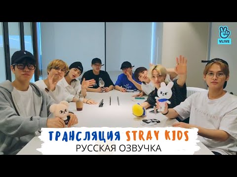 [Озвучка Dino Kpop] Трансляция Stray Kids 21.07.2021 | ОТ8! A Nice Day☀ With STAY🥰