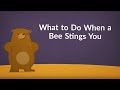 What to Do When a Bee Stings You (Remedies & Relief & Remedies)