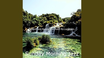 Fantastic Jazz Sax with Strings - Vibe for Working at Home