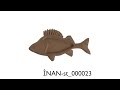 CNC Kitchenware Project | Fish, Leaf & Geometric Appetizer Platters