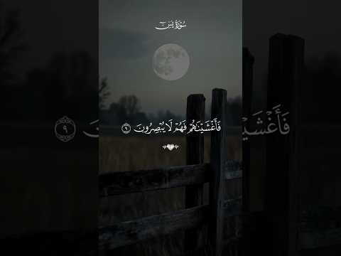 وجعلنا من بين ايديهم سدا ومن خلفهم سدا القارئ سعد الغامدي    