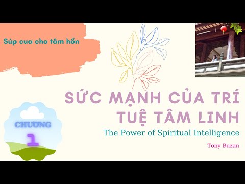 Video: Súp Của Sự Khôn Ngoan