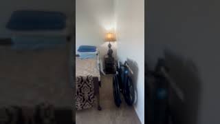 IMG 0780