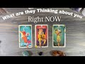  what are they thinking about you pick a card tarot love reading  timeless